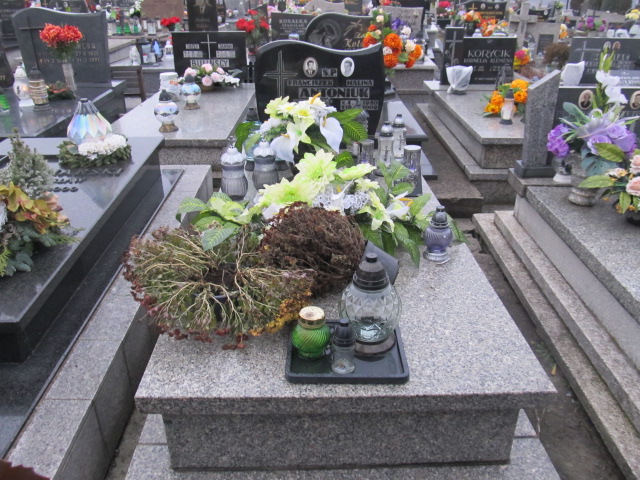 Grób Halina Antoniuk