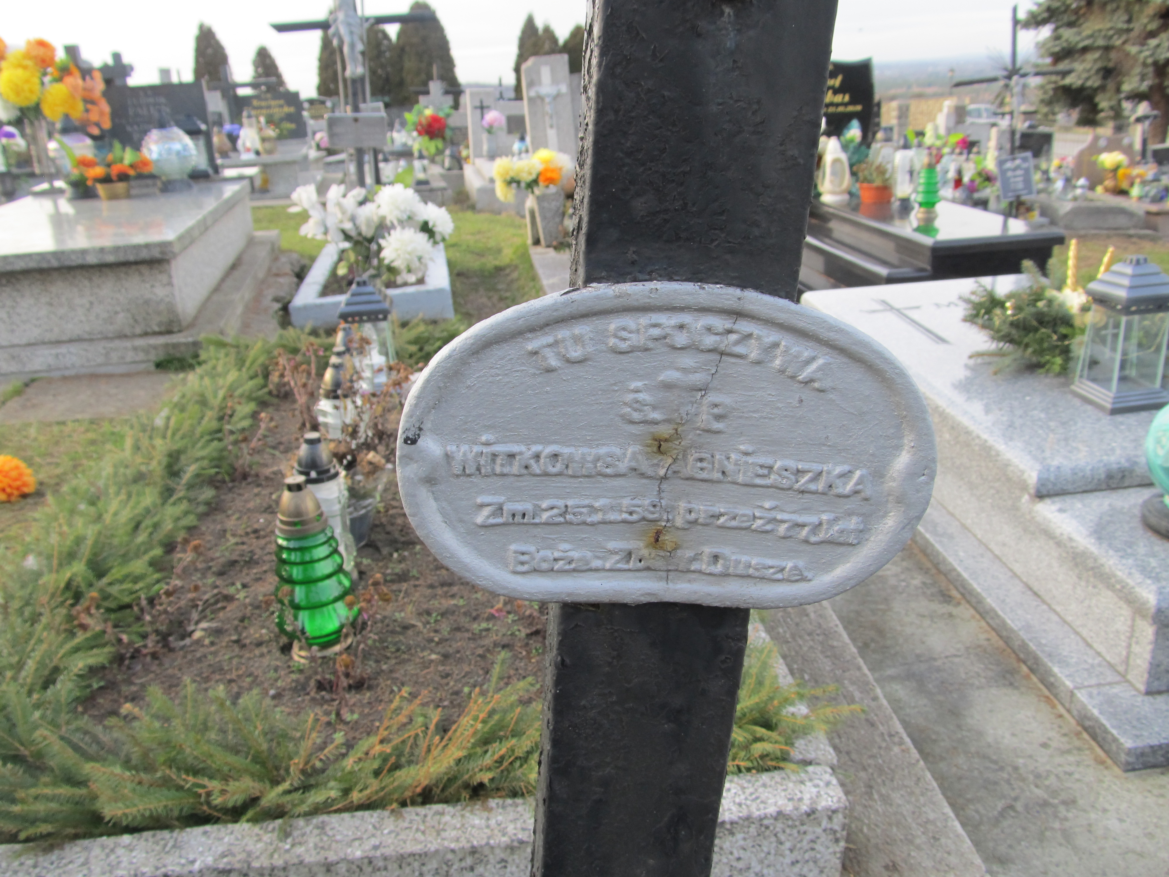 Agnieszka Witkowska Chełmek par. - Grobonet - Wyszukiwarka osób pochowanych