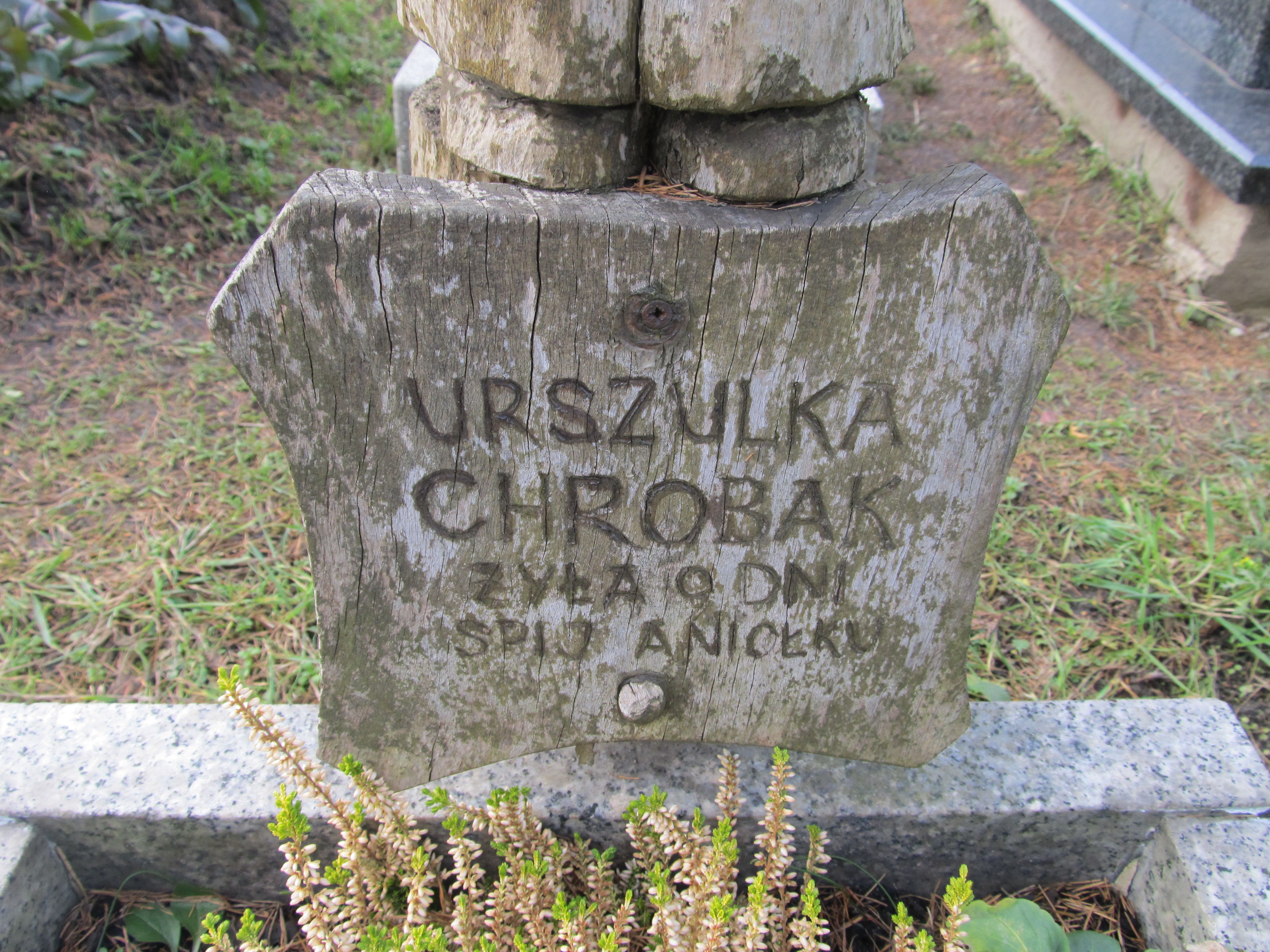 Urszula Chrobak Chełmek par. - Grobonet - Wyszukiwarka osób pochowanych