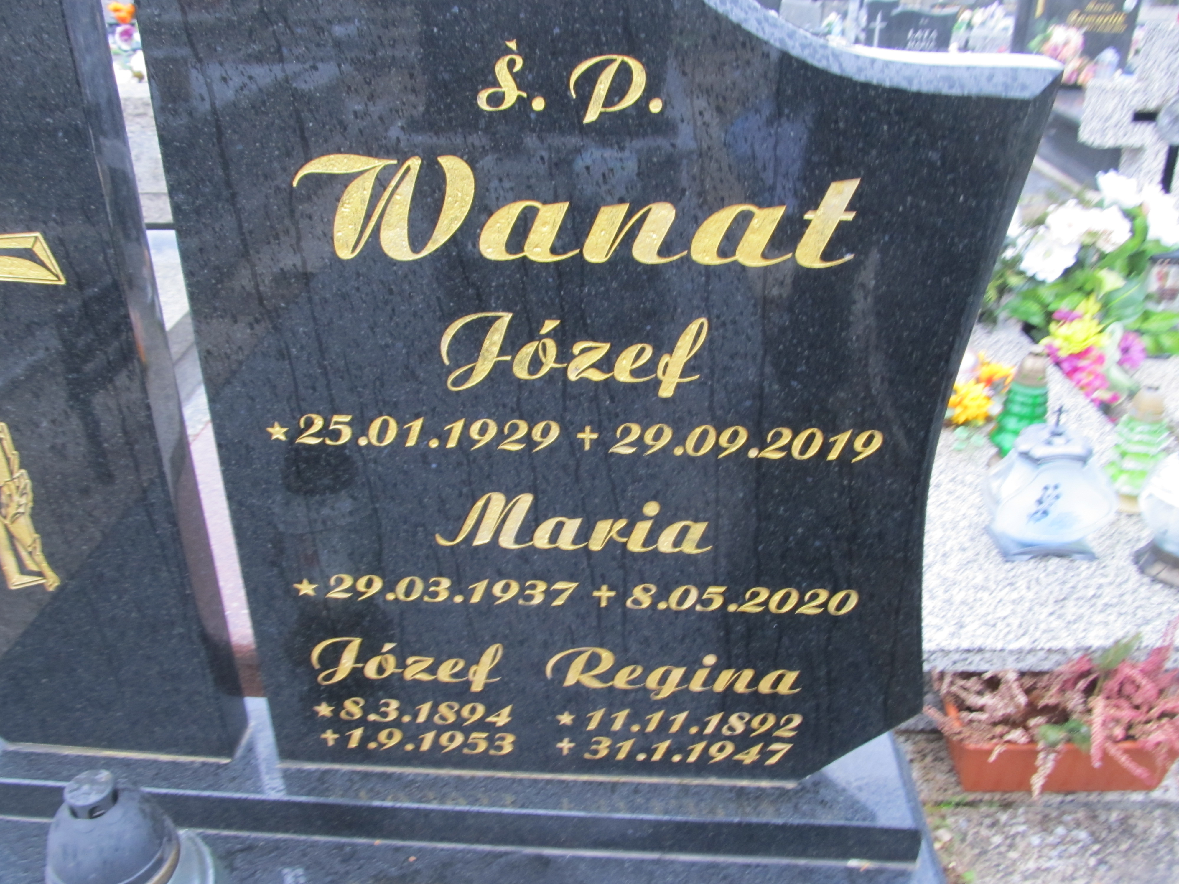 Regina Wanat 1892 Chełmek par. - Grobonet - Wyszukiwarka osób pochowanych